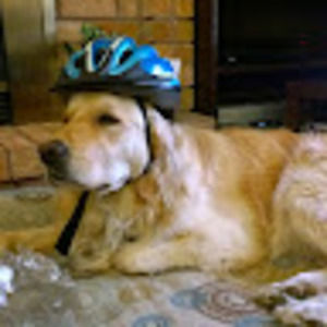 Meet your Posher, Esther